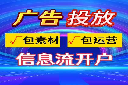 SEM搜索引擎优化策略解析与应用案例